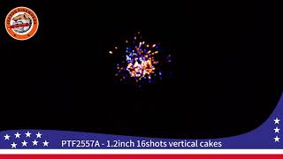 PTF2557A 12inch 16shots vertical cakes 2025 NEW [upl. by Chemesh]