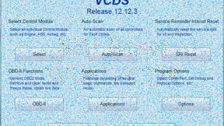 VCDS VAGCOM SRI Reset on Mk5 VW Golf [upl. by Fia]