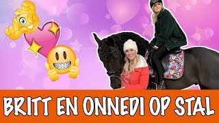 KAN ONNEDI OP VITO RIJDEN  PaardenpraatTV [upl. by Elylrac]