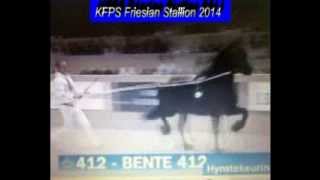 KFPS Friesian Stallion BENTE 412 Hengstenkeuring 2014 [upl. by Eanert]