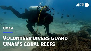 Volunteer divers guard Omans coral reefs  AFP [upl. by Vaclava793]