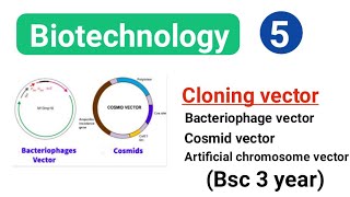 Types of vector in biotechnology  bacteriophage vector cosmid vector Artificial chromosome vector [upl. by Daughtry]