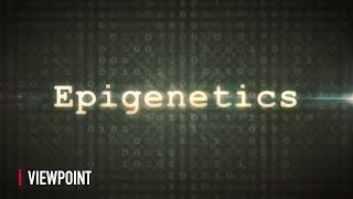 Epigenetics How the Habits of Fathers Are Passed Onto Children [upl. by Nekcarb]