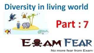 Biology Diversity in Living World part 7 Classification amp Its need CBSE class 11 XI [upl. by Arrimat324]