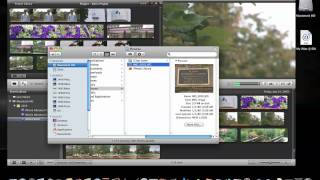 iMovie 11 Adding Still Images [upl. by Timmie]