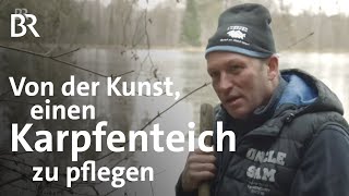 Teichwirtschaft im Winter Fischzucht mit Karpfen Forellen amp Zander  Unter unserem Himmel  BR [upl. by Bolten]