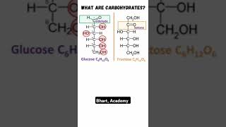 Carbohydrates classification structure [upl. by Lecroy]