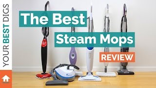 Best Steam Mop 2024 for Sparkling Clean Floors [upl. by Alejandra]