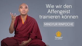 Wie wir den Affengeist trainieren können [upl. by Vi413]