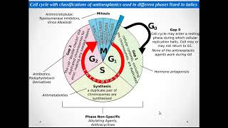 ANTI CANCER PHARMACOLOGY [upl. by Arrais181]