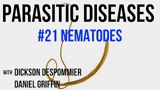 Parasitic Diseases Lectures 21 Nematodes [upl. by Tarryn]