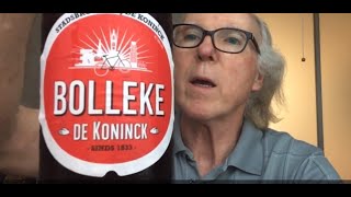 De Koninck Bolleke  デ・コーニンクボレケ Beer Review 749 [upl. by Akcirahs741]