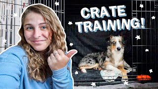 10 Crate Training Tips That ACTUALLY Work How I Crate Trained My Puppy in ONE WEEK [upl. by Schnorr748]