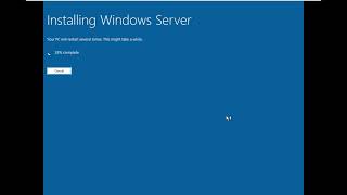 Installing Windows Server 2025 [upl. by Ydassac]