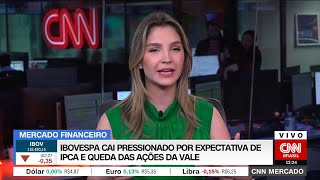 Ibovespa cai pressionado por expectativa de IPCA e queda das ações da [upl. by Anim]