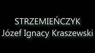 Strzemieńczyk  Józef Ignacy Kraszewski  Audiobook PL [upl. by Enyahc544]