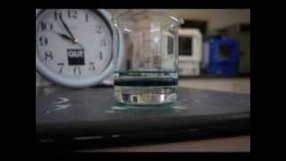 Time Lapse of Polyaniline Synthesis [upl. by Odawa85]