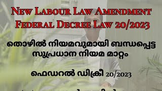 New Labour Law AmendmentFederal Decree Law 202023  ADV P A HAKKIM [upl. by Normy]