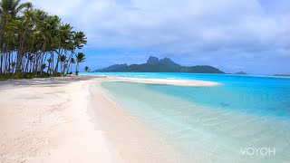 Promenade sur lîle tropicale plage mer  Motu Tane BoraBora Polynésie française  Voyage 4K [upl. by Mcbride]