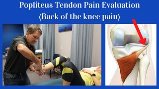 Popliteus Tendon Evaluation Back of the knee pain [upl. by Hay]