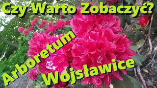 Czy warto zobaczyć Arboretum Wojsławice Rododendrony i Azalie na pierwszym planie w połowie maja [upl. by Stichter931]