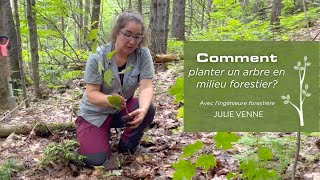 Comment planter un arbre en milieu forestier [upl. by Aniala]