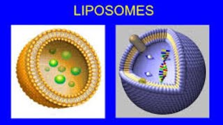 Liposomal Drug Delivery System [upl. by Jacoby]