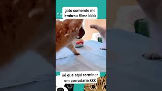 Iury famosinho vídeo de comédia 🐈 🤣😭 curte comenta compartilha [upl. by Stranger]