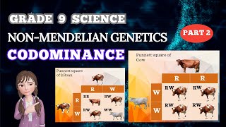 NONMENDELIAN GENETICS CODOMINANCE  GRADE 9 SCIENCE  BIOLOGY [upl. by Netsrak]