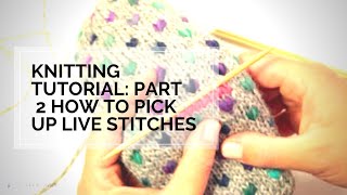 PART 2 How to pick up live stitches or Thumb Hold  Making Thrum Mittens  Knitting Tutorial [upl. by Kylie]