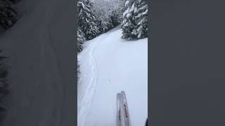 Idiots Delight into North Slope  Mittersill Ski Resort  Franconia NH [upl. by Akital]