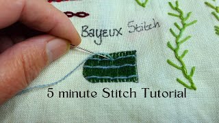 Master the Bayeux Stitch in 5 Minutes [upl. by Halik]