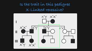 XLinked Recessive Traits in a Pedigree [upl. by Hanikahs53]