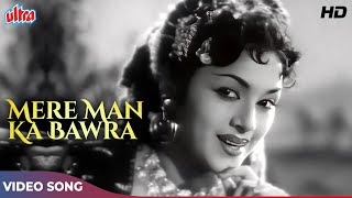 Lata Mangeshkar Hit Songs  Mere Man Ka Bawra Panchhi  Dev Anand  Amar Deep 1958 Songs [upl. by Cowden]