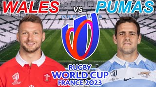 WALES vs ARGENTINA Rugby World Cup 2023 Quarter FINAL Live Commentary [upl. by Honig621]