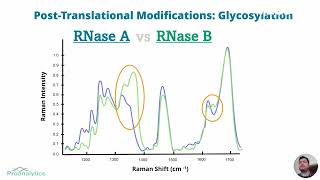 HighThroughput Raman Analysis of Protein Glycosylation [upl. by Farnham]