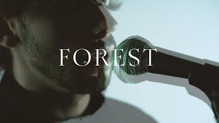 Red Light Skyscraper  Forest Official Music Video [upl. by Spencer]