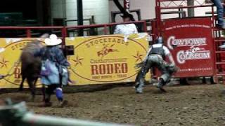 Ft Worth TX Stockyards rodeo [upl. by Ekaterina336]