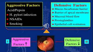 Peptic ulcer amp Antiemetics  Pharmacology 1  Gastrointestinal system [upl. by Earehs]