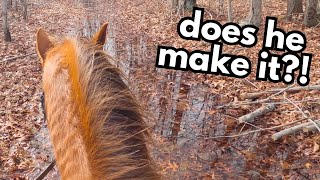 FLOODED TRAILS ON HORSEBACK POV [upl. by Natsyrt]