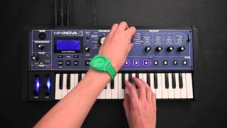 Novation  Dorian Concept x MiniNova [upl. by Herzel]