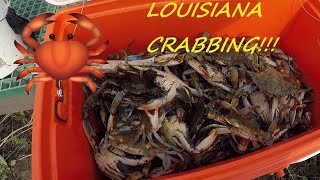 Catching Big Blue Point CrabsLouisiana Crabbing CATCH amp COOK  How to Catch Blue Point Crabs [upl. by Havard]