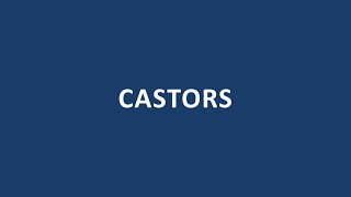 Castors [upl. by Atenahs]