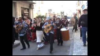 Animation de rue 100 Rumba Flamenca [upl. by Farrison]