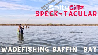 The Best Wade Fishing In Baffin Bay Where The Big Trophy Speckled Trout Bite [upl. by Bettye]