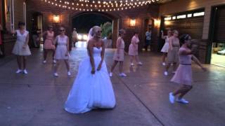 Best Wedding Dance Ever [upl. by Arac]