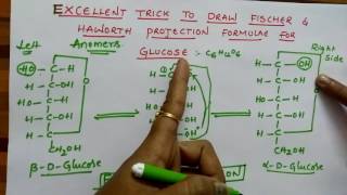 Fischer amp Haworth projection formulae for Glucose Biomolecules class 12 chemistry [upl. by Stavros28]