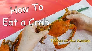 How to Eat a Whole Crab Using a Maryland Blue Crab Tastes of the Season 2023 [upl. by Eelnayr]