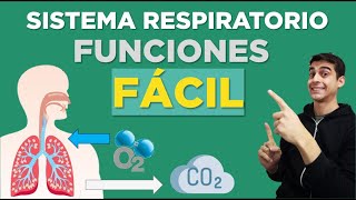 Cómo FUNCIONA el SISTEMA RESPIRATORIO ✅ Fácil [upl. by Nyliram]