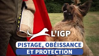 LIGP une discipline complète [upl. by Beker]